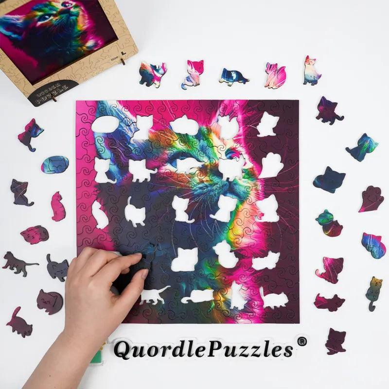 🔥LAST DAY 85% OFF-Cat Multicolor