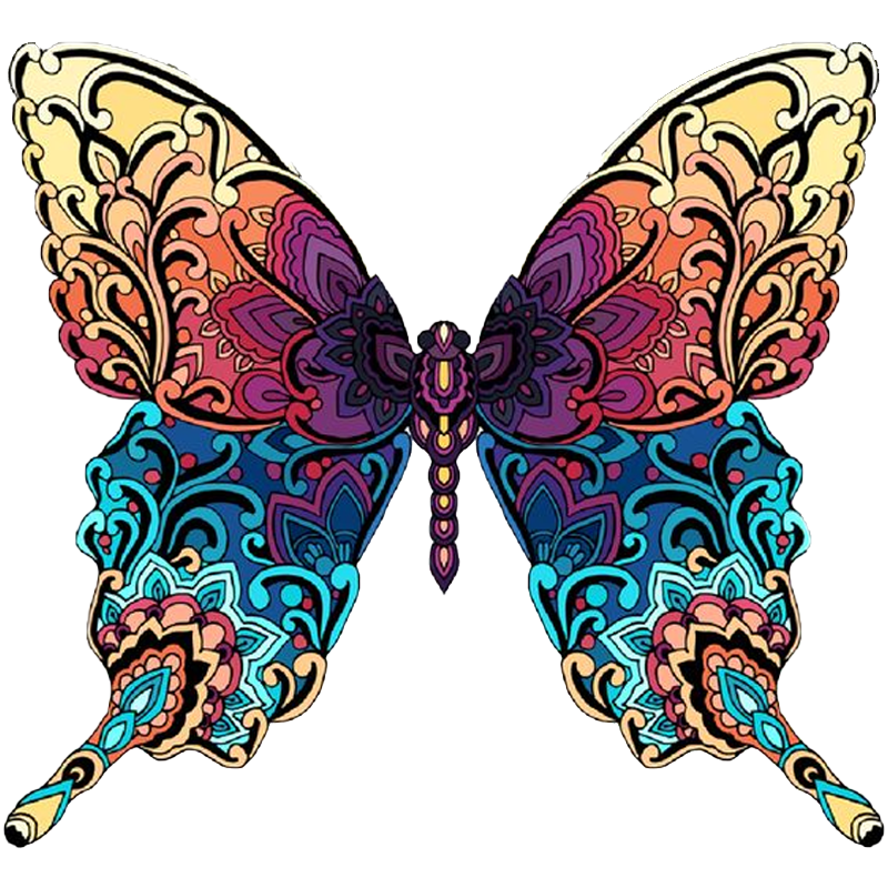 Colorful butterfly Jigsaw Puzzle